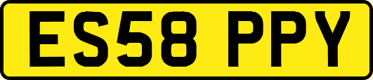 ES58PPY