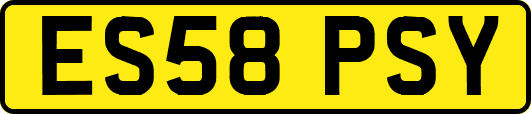 ES58PSY