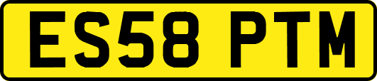 ES58PTM