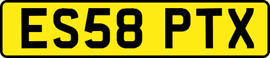 ES58PTX