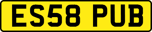 ES58PUB