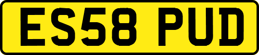 ES58PUD