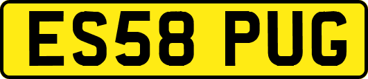 ES58PUG