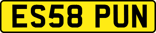ES58PUN