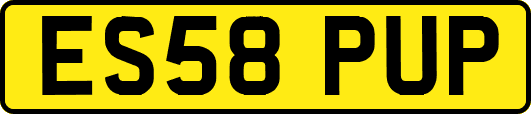 ES58PUP