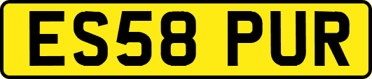ES58PUR