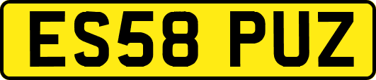 ES58PUZ