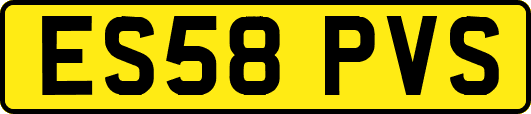 ES58PVS