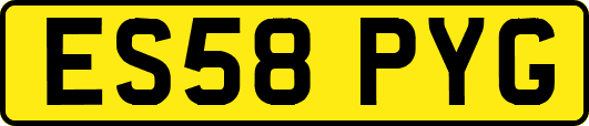 ES58PYG