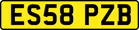 ES58PZB