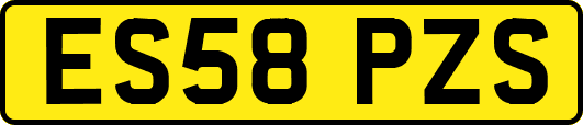 ES58PZS