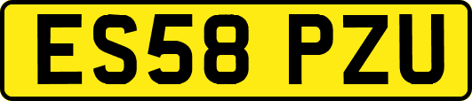 ES58PZU