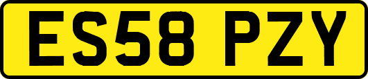 ES58PZY