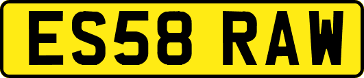 ES58RAW
