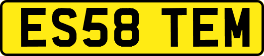 ES58TEM