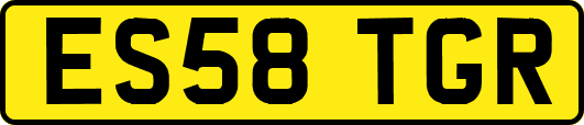 ES58TGR