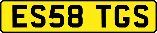 ES58TGS