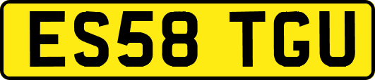 ES58TGU