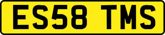 ES58TMS
