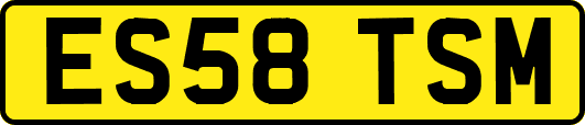 ES58TSM
