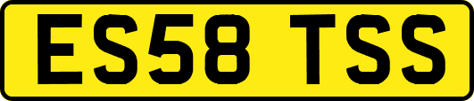 ES58TSS