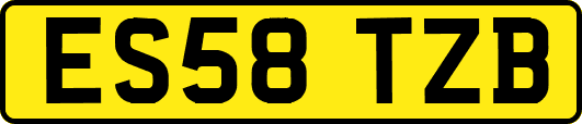 ES58TZB