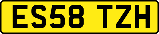 ES58TZH