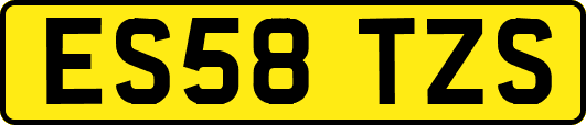 ES58TZS