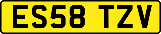 ES58TZV