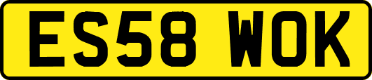 ES58WOK