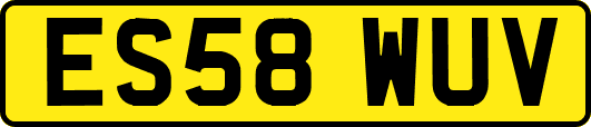 ES58WUV