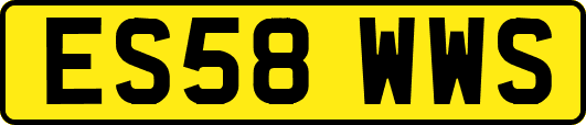 ES58WWS