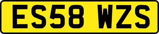ES58WZS