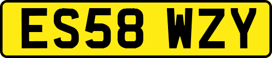 ES58WZY
