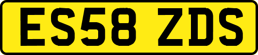 ES58ZDS