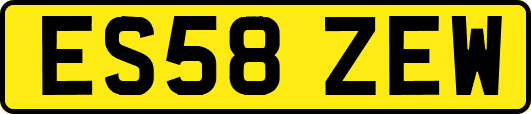 ES58ZEW