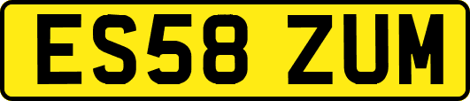 ES58ZUM
