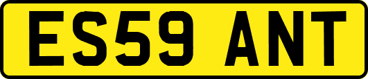 ES59ANT