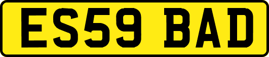ES59BAD