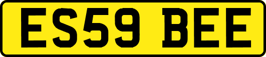 ES59BEE