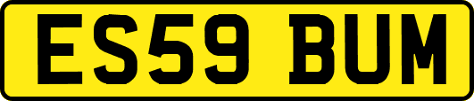 ES59BUM