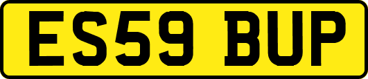 ES59BUP