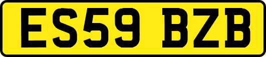 ES59BZB