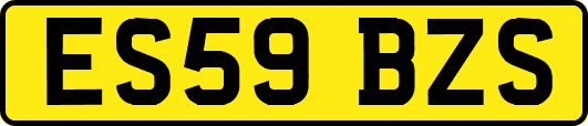 ES59BZS