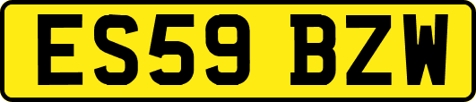 ES59BZW