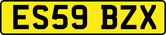 ES59BZX