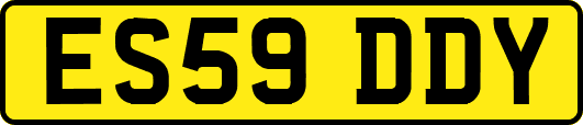 ES59DDY