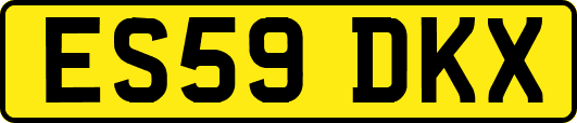 ES59DKX