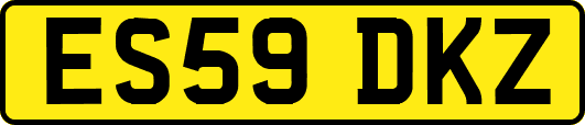 ES59DKZ