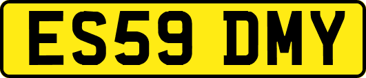 ES59DMY